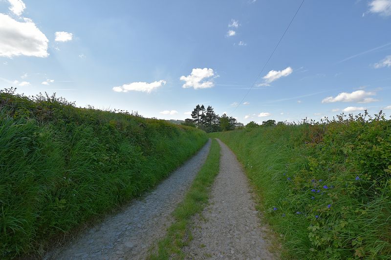 SOAR - photo id: 3256