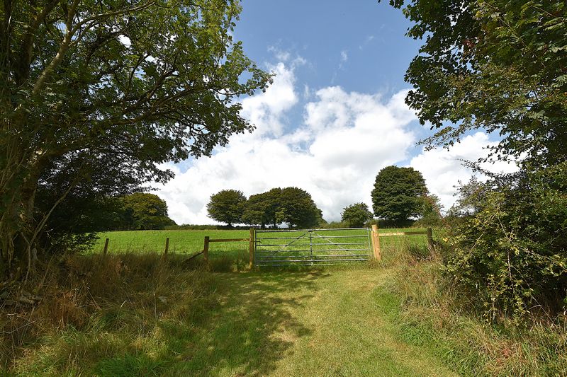 GWARCOED VILLA - photo id: 3510