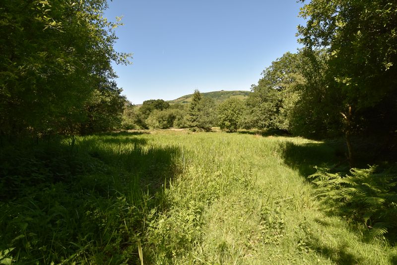 Parc Bach - photo id: 3199