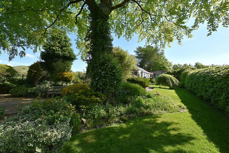 SOAR - photo id: 3241