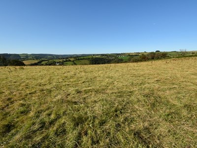 Gareths latest land sale - plot 1