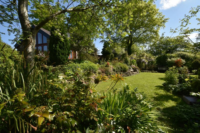 SOAR - photo id: 3249