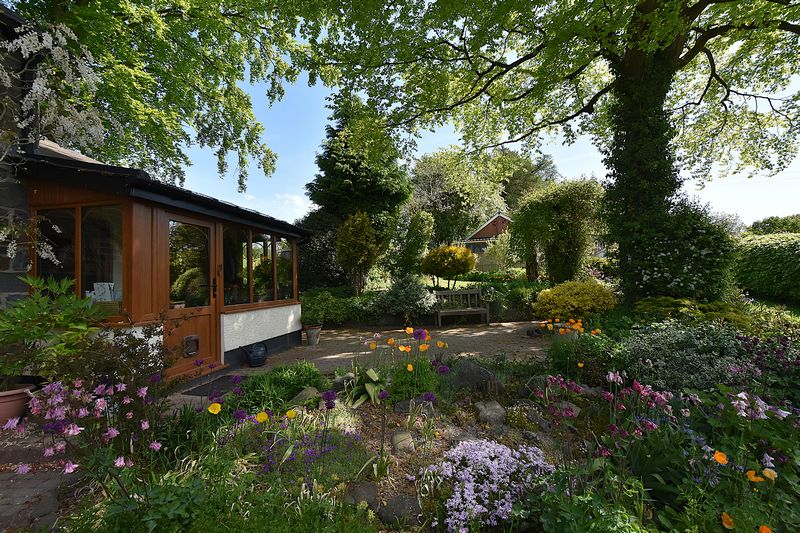 SOAR - photo id: 3253