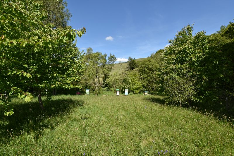 SOAR - photo id: 3261