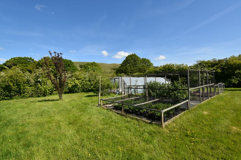 SOAR - photo id: 3257