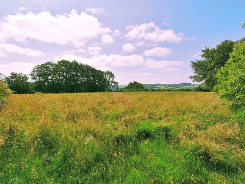 Brownhill Llanfihangel-ar-Arth - photo id: 3618