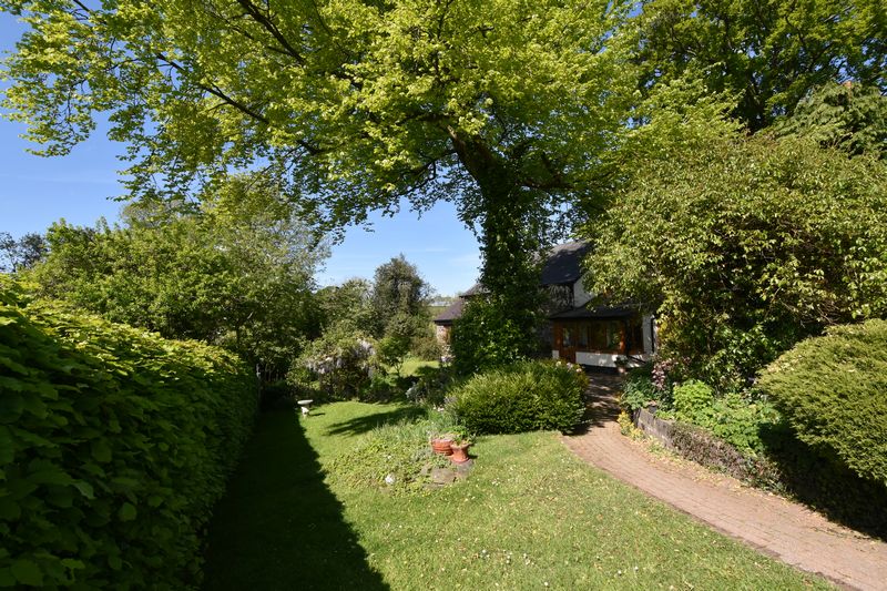 SOAR - photo id: 3239