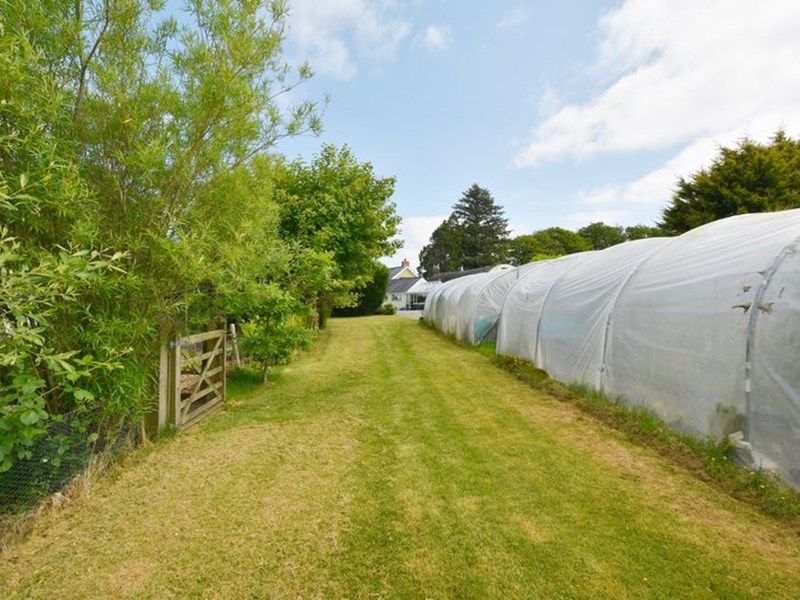 Brownhill Llanfihangel-ar-Arth - photo id: 3617