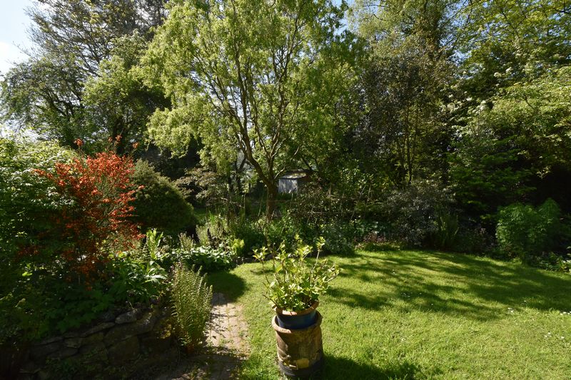 SOAR - photo id: 3247