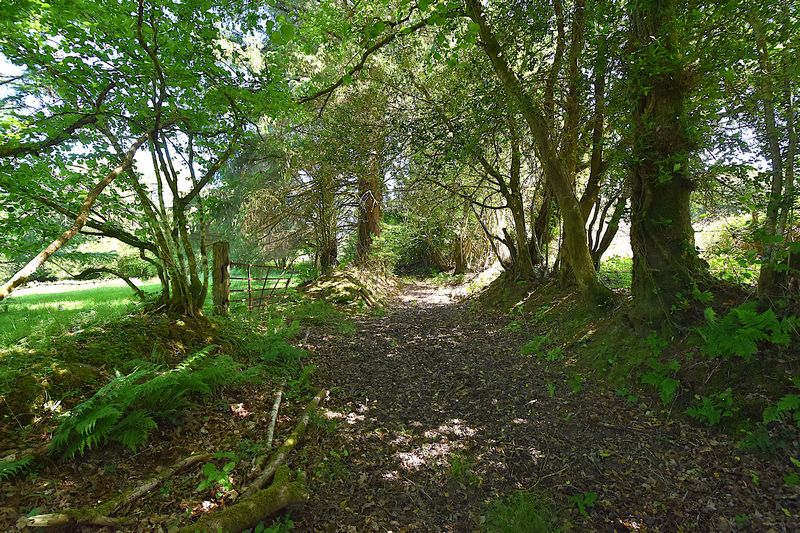 Parc Bach - photo id: 3206