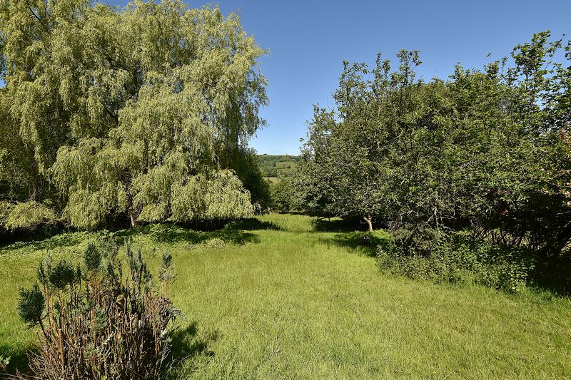 Parc Bach - photo id: 3196