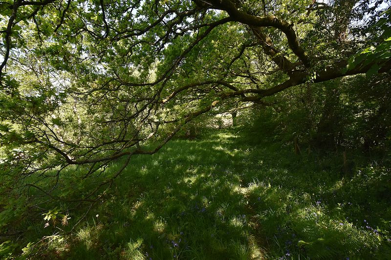 SOAR - photo id: 3262