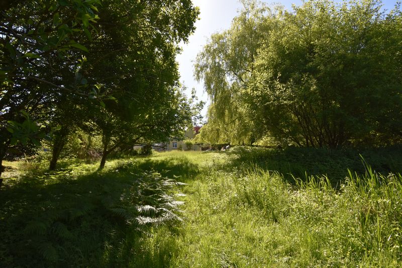 Parc Bach - photo id: 3200