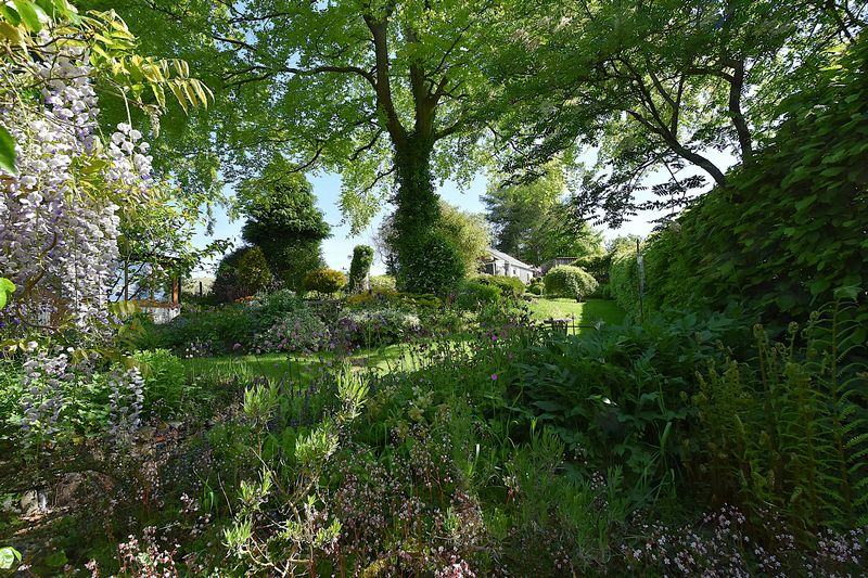 SOAR - photo id: 3246