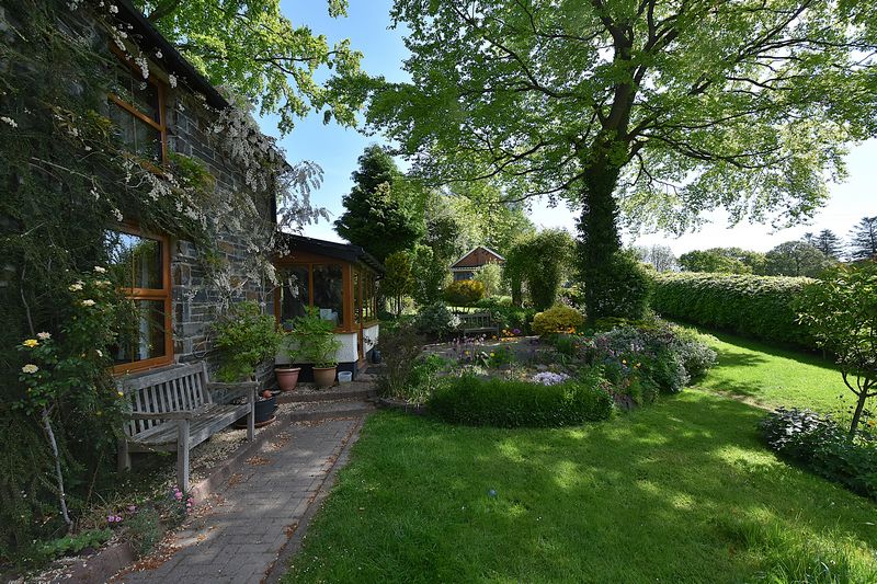 SOAR - photo id: 3252