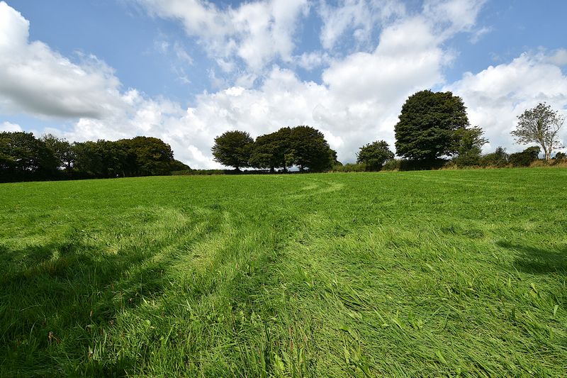 GWARCOED VILLA - photo id: 3513