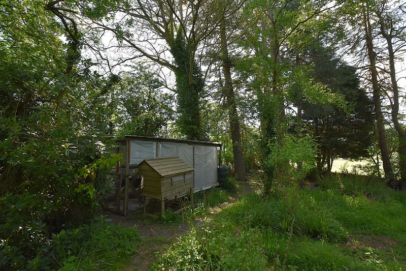 SOAR - photo id: 3248