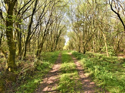 Main Image for Off Bethlehem Road, Llangadog.