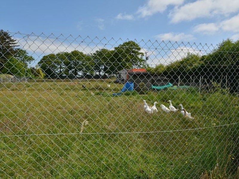 Brownhill Llanfihangel-ar-Arth - photo id: 3619