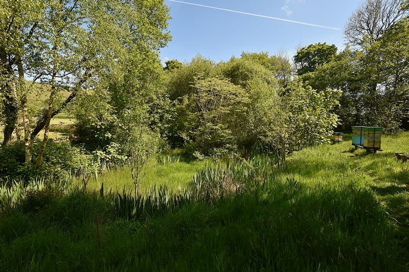 SOAR - photo id: 3263