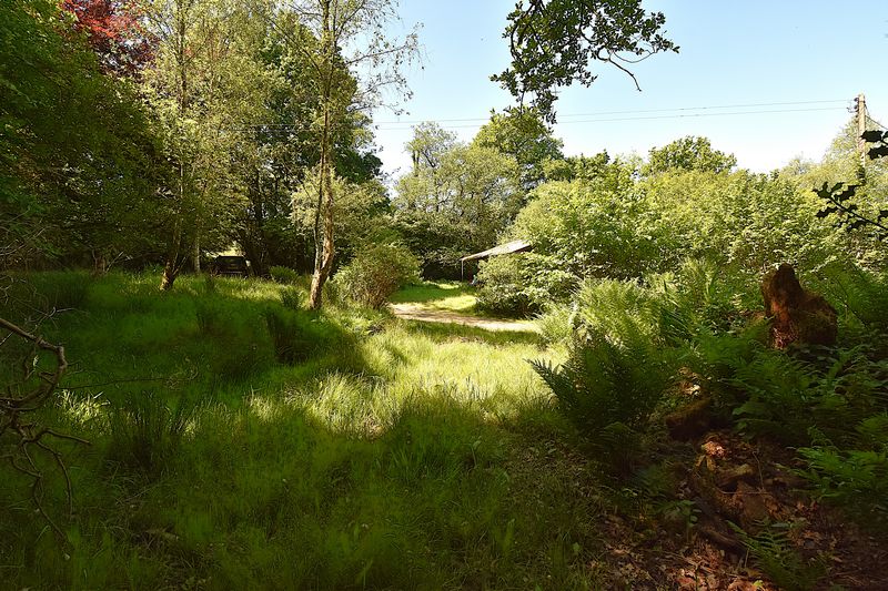 Parc Bach - photo id: 3208