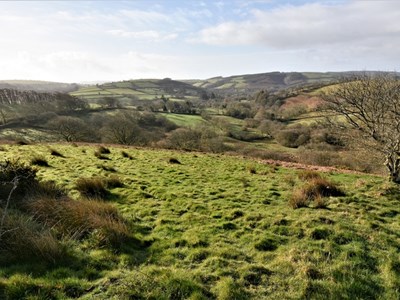 Main Image for Grazing land in Esgairdawe