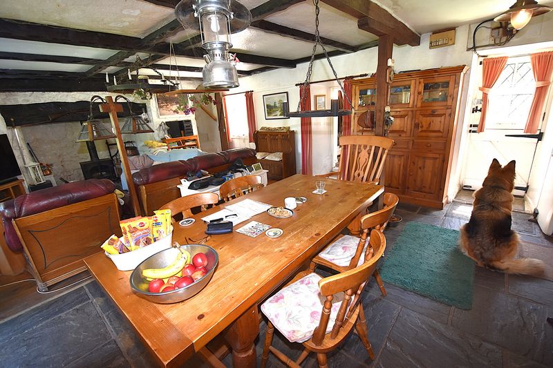 Parc Bach - photo id: 3180