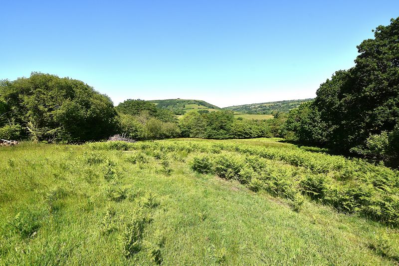 Parc Bach - photo id: 3198