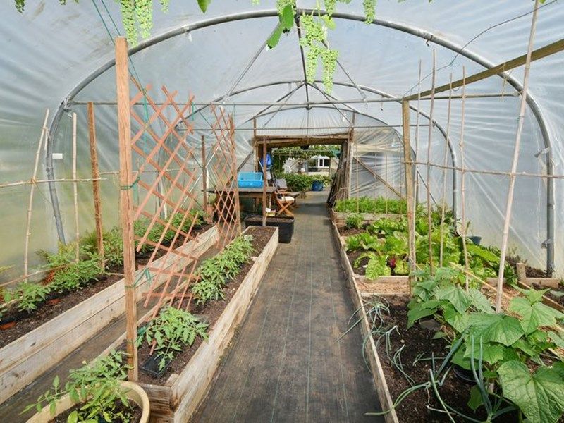 Brownhill Llanfihangel-ar-Arth - photo id: 3627