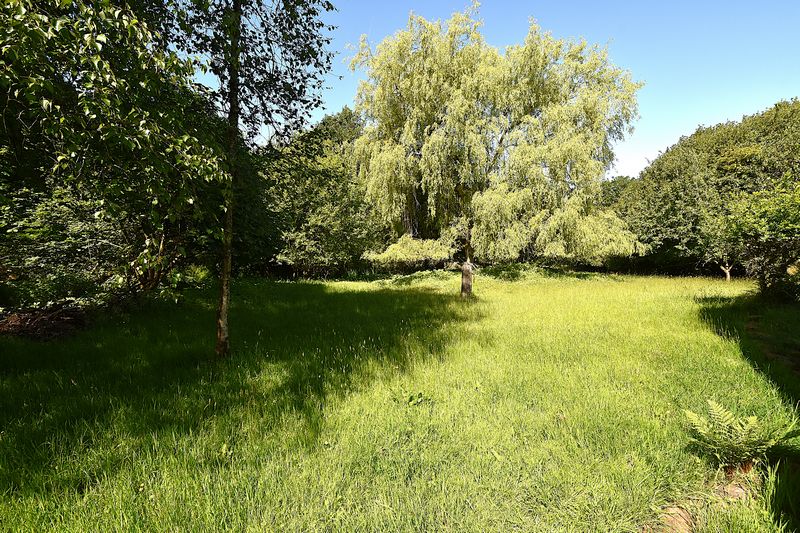 Parc Bach - photo id: 3195