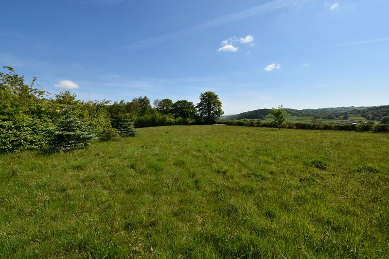 SOAR - photo id: 3259