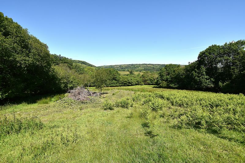 Parc Bach - photo id: 3197